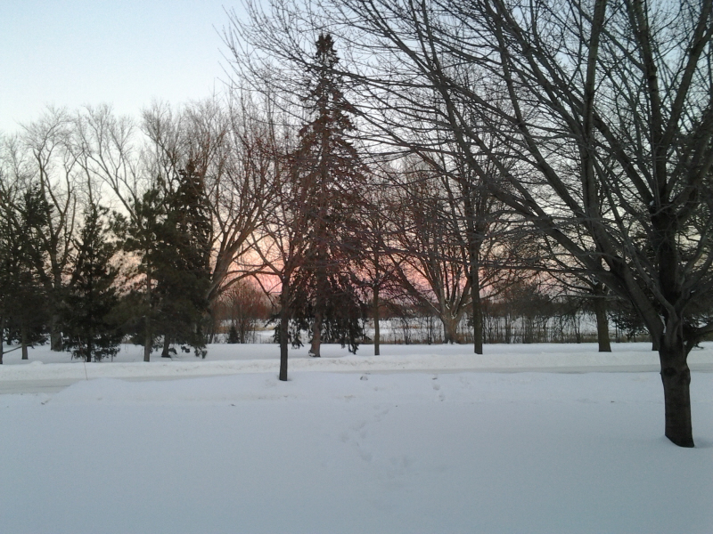 Hiawatha Golf Course - 10th From Longfellow Ave. - February 4, 2018